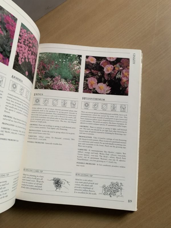 Polyan Monard Double Ipheior Thyme HAMLYN ALL COLOUR - Image 7