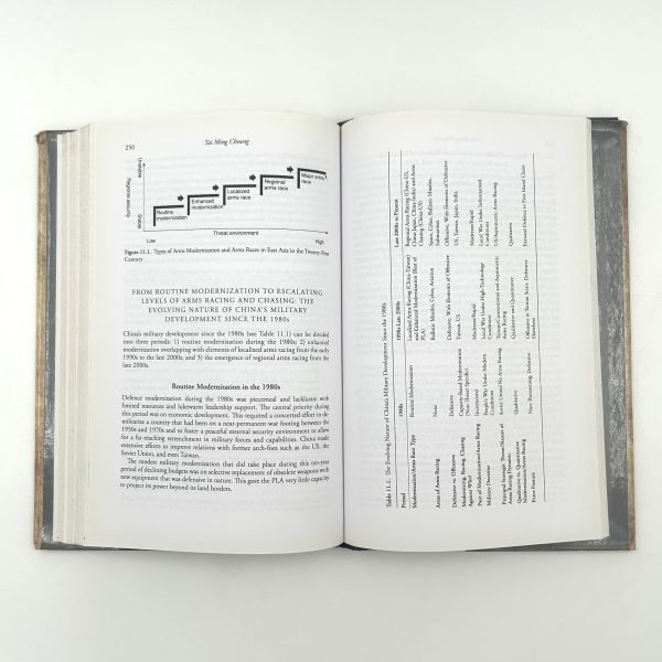 Arms Races in International Politics: From the Nineteenth to the Twenty-First Century by Thomas Mahnken, Joseph Maiolo, and David Stevenson - Image 11