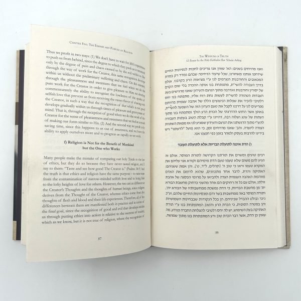 The Wisdom of Truth by Michael Berg - Image 6