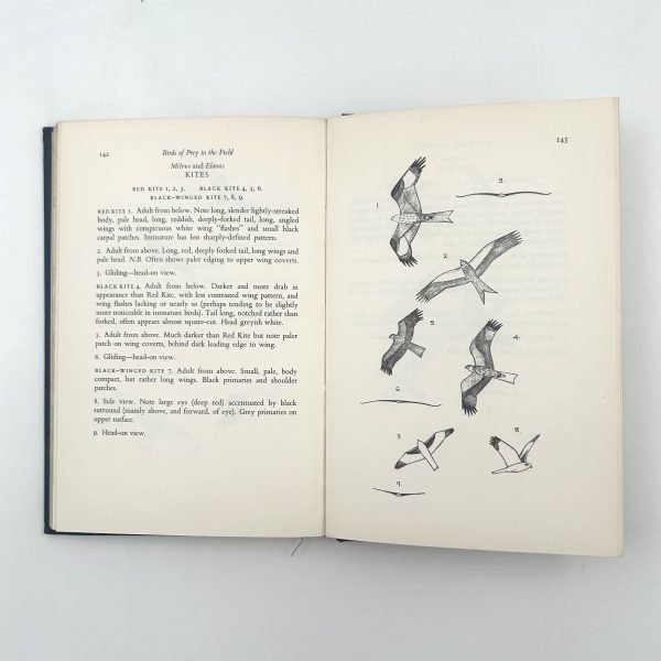 Birds of Prey in the Field by Roger Harkness & Colin Murdoch - Image 11