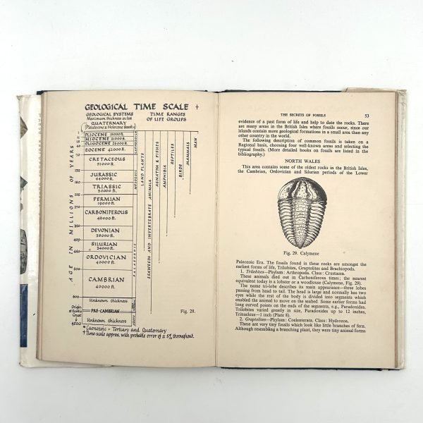 Geology for the Young Naturalist By Allen White - Image 10