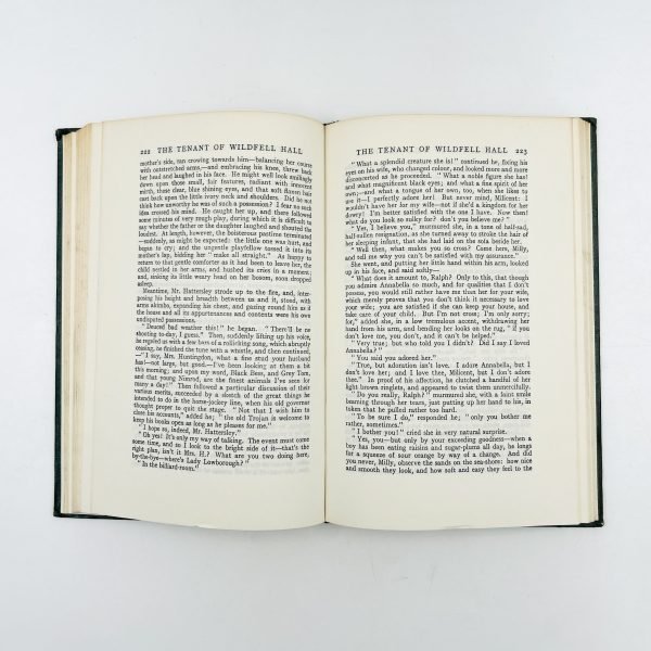 The Tenant of Wildfell Hall - Image 7