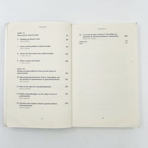 Frantz Fanon – Critical Perspectives - Image 6