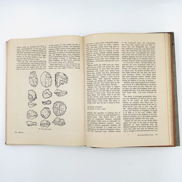 BIOLOGY: AN INQUIRY INTO LIFE (2 Volume Set) - Image 13