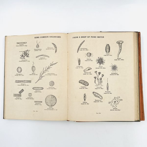 BIOLOGY: AN INQUIRY INTO LIFE (2 Volume Set) - Image 22