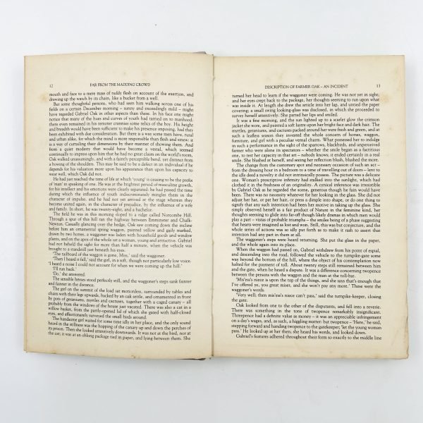 FAR FROM THE MADDING CROWD by Thomas Hardy - Image 7