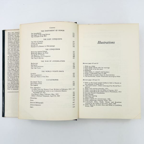 The Life and Death of Adolf Hitler - Image 7