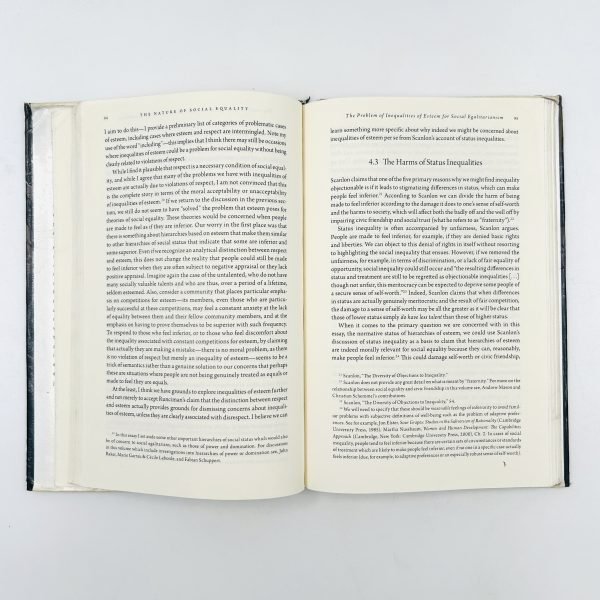 Social Equality – On What It Means to Be Equals - Image 7