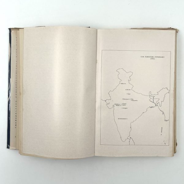 India: Mystic, Complex, and Real by Adwaita P. Ganguly - Image 9