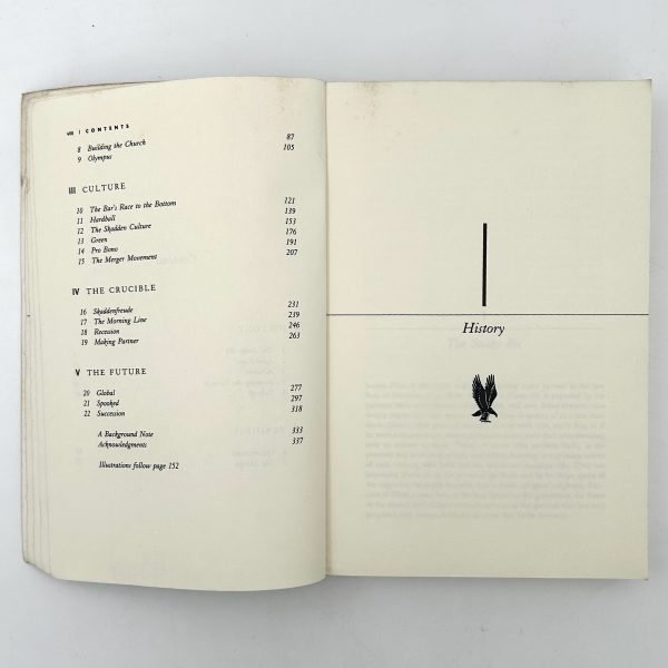 Skadden by Lincoln Caplan - Image 7