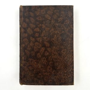 Lavengro by George Borrow
