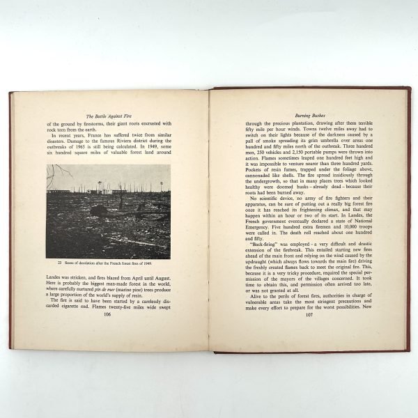 THE BATTLE AGAINST FIRE - Image 13