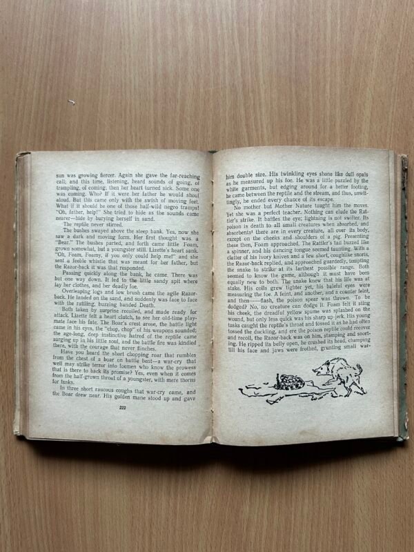 Lobo, The King of Currumpaw and Other Stories by Ernest Seton-Thompson - Image 5