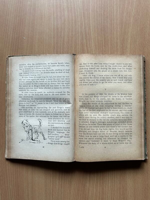 Lobo, The King of Currumpaw and Other Stories by Ernest Seton-Thompson - Image 6