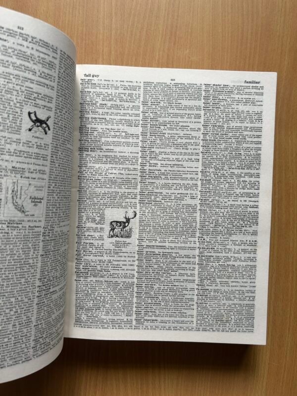 Webster’s Encyclopedic Unabridged Dictionary of the English Language - Image 5