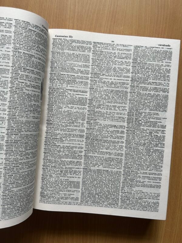 Webster’s Encyclopedic Unabridged Dictionary of the English Language - Image 6