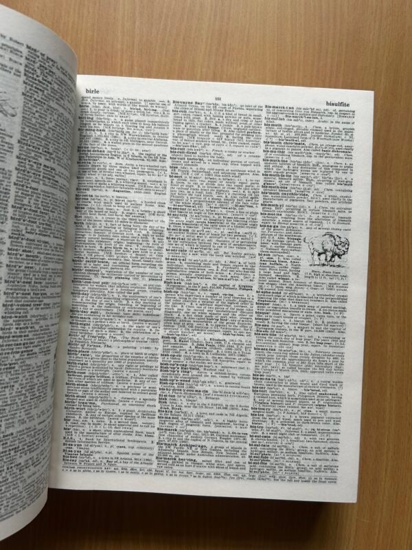 Webster’s Encyclopedic Unabridged Dictionary of the English Language - Image 7
