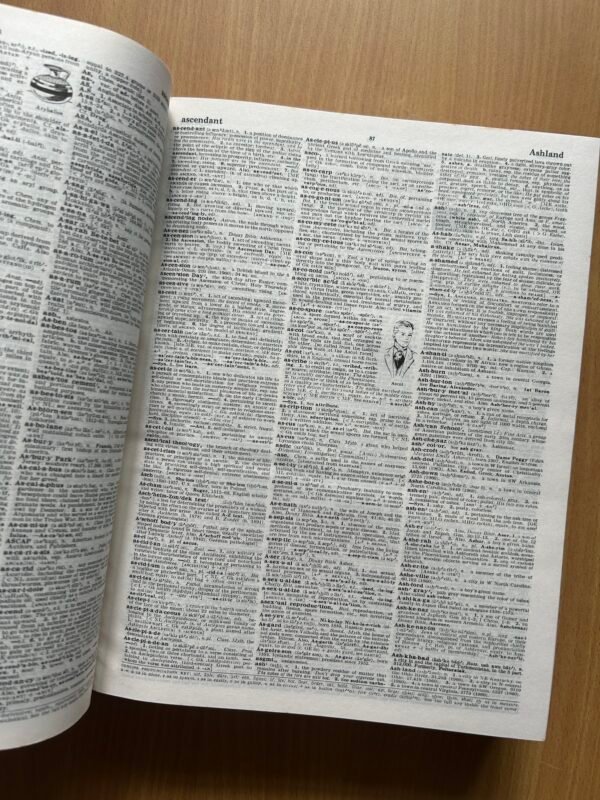 Webster’s Encyclopedic Unabridged Dictionary of the English Language - Image 8