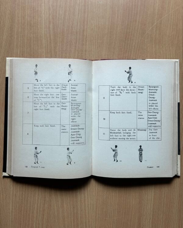Taekwondo (Poomse) - Image 7