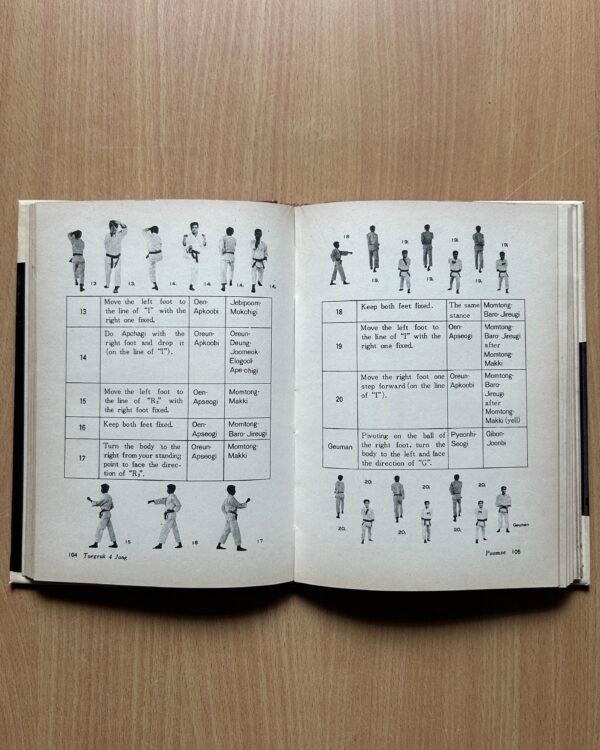 Taekwondo (Poomse) - Image 9