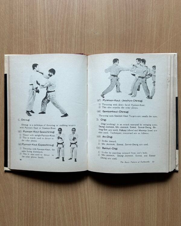 Taekwondo (Poomse) - Image 10