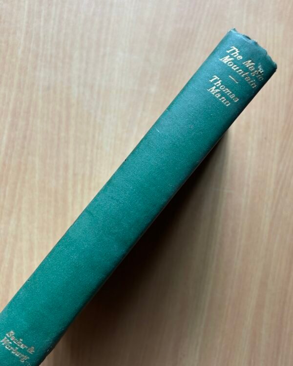 The Magic Mountain  - Thomas Mann - Image 2