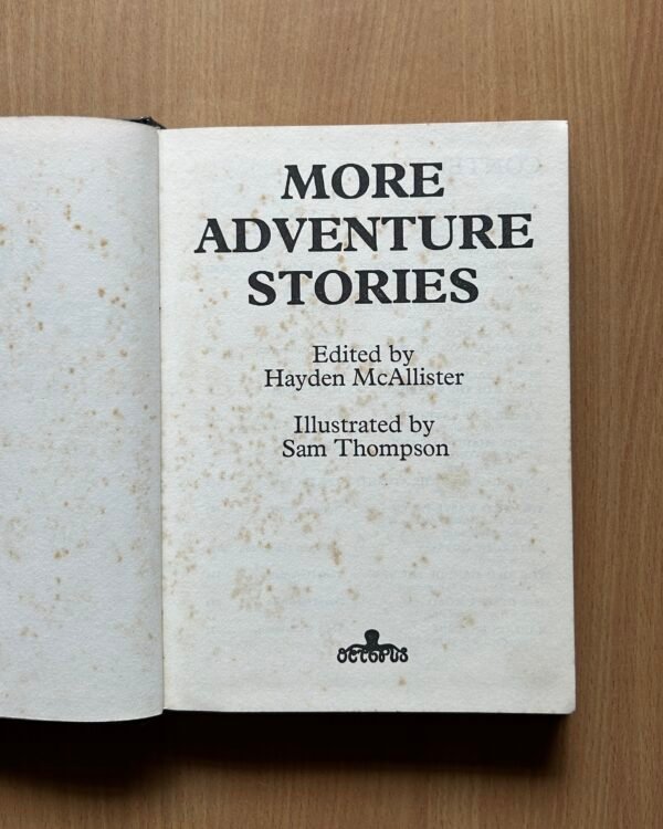 More Adventure Stories  - Hayden McAllister - Image 3