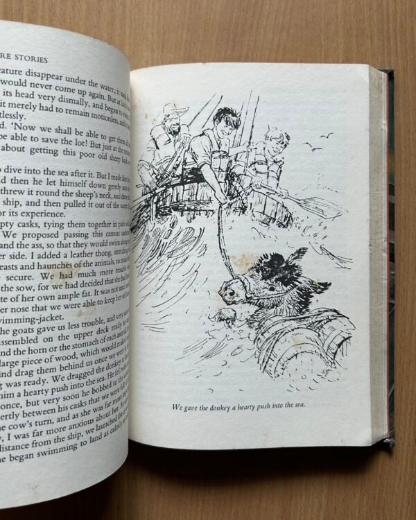 More Adventure Stories  - Hayden McAllister - Image 6