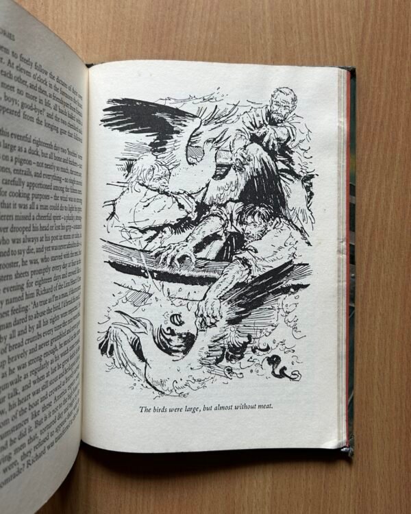 More Adventure Stories  - Hayden McAllister - Image 9