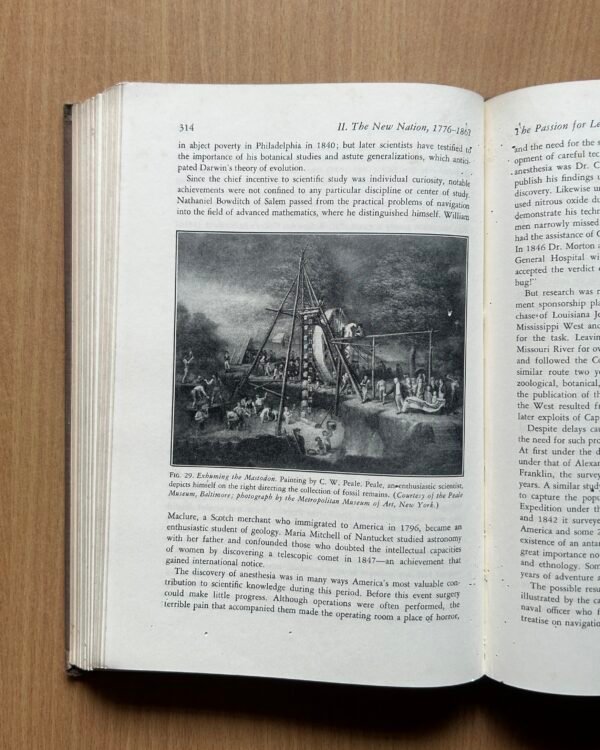 A Short History of American Life  - Nelson Manfred Blake - Image 10