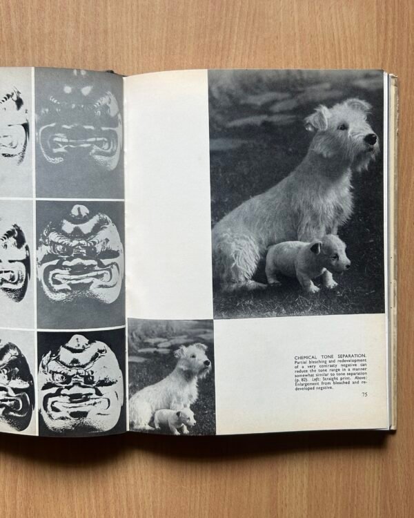 The Complete Art of Printing and Enlarging  - Dr. O. R. Crooy - Image 16