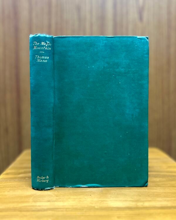The Magic Mountain  - Thomas Mann