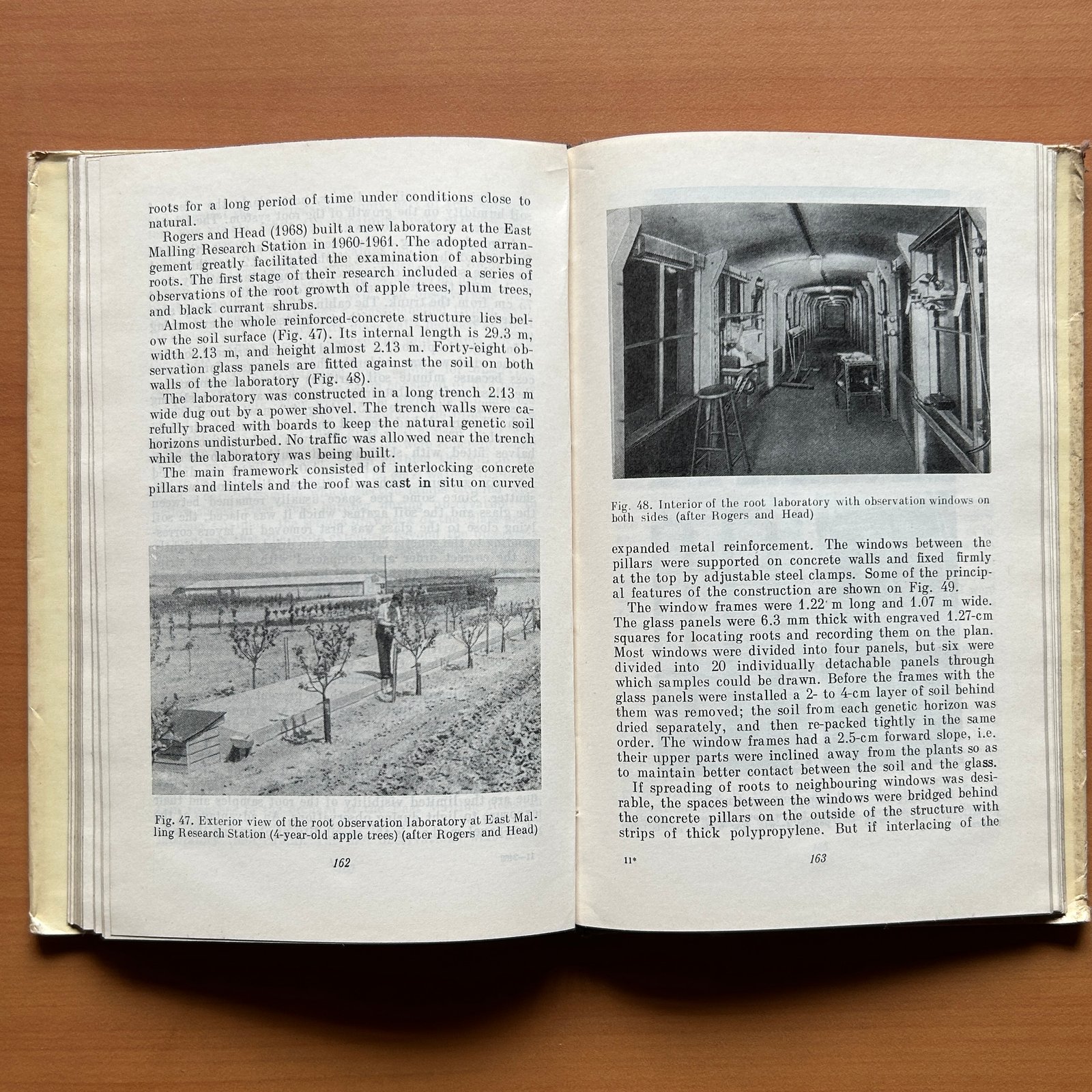 The Root System of Fruit Plants - V. Kolesnikov - Image 8