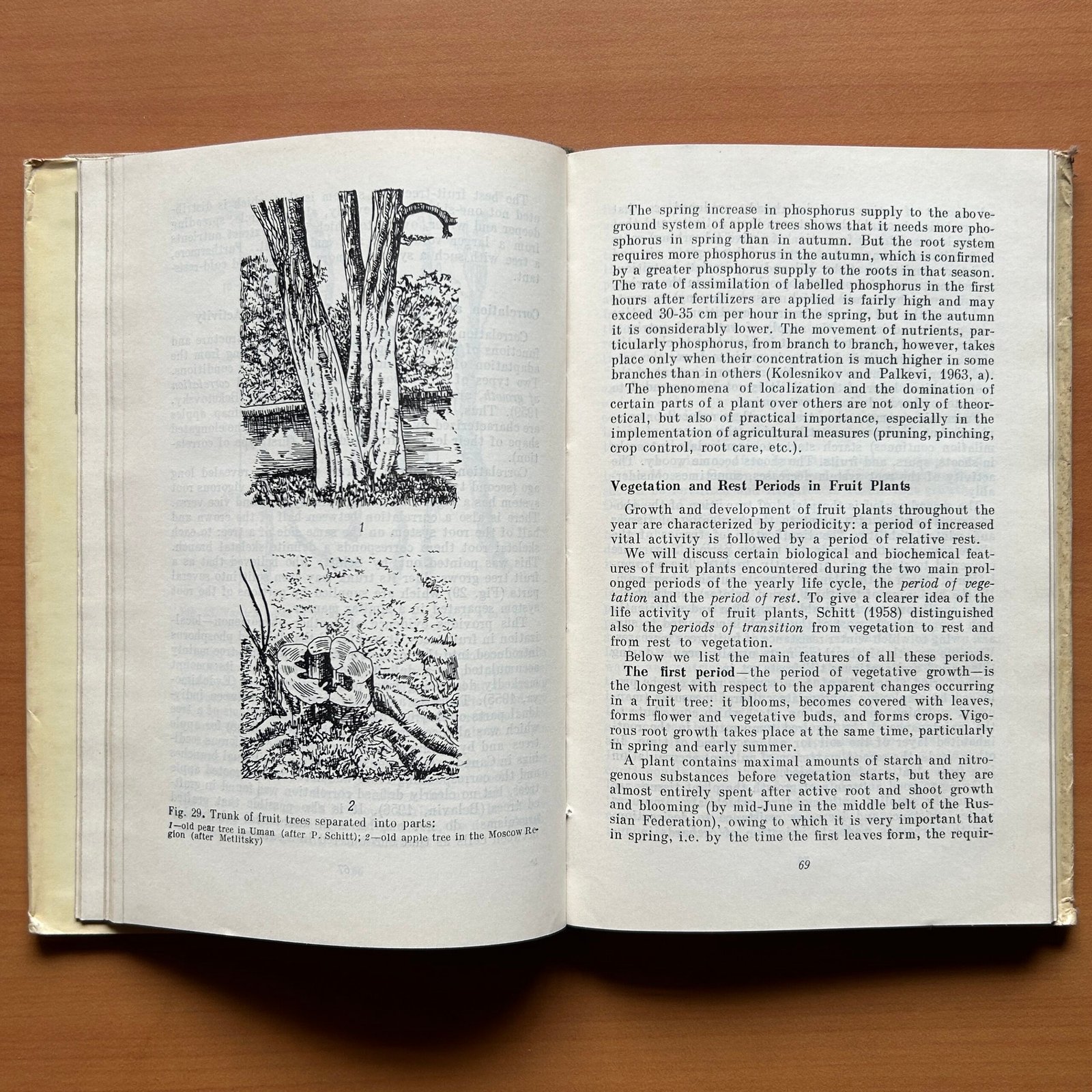 The Root System of Fruit Plants - V. Kolesnikov - Image 9