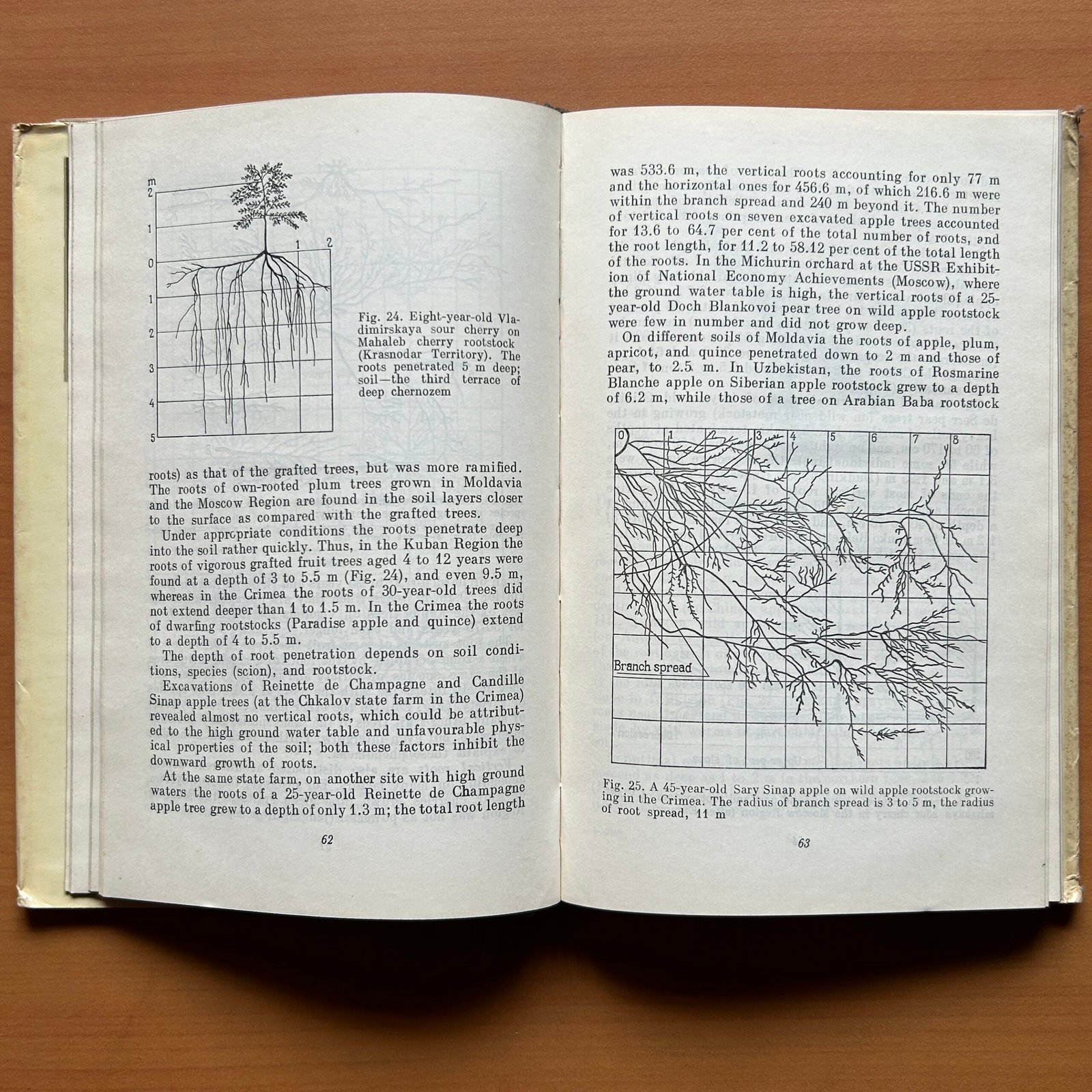 The Root System of Fruit Plants - V. Kolesnikov - Image 10