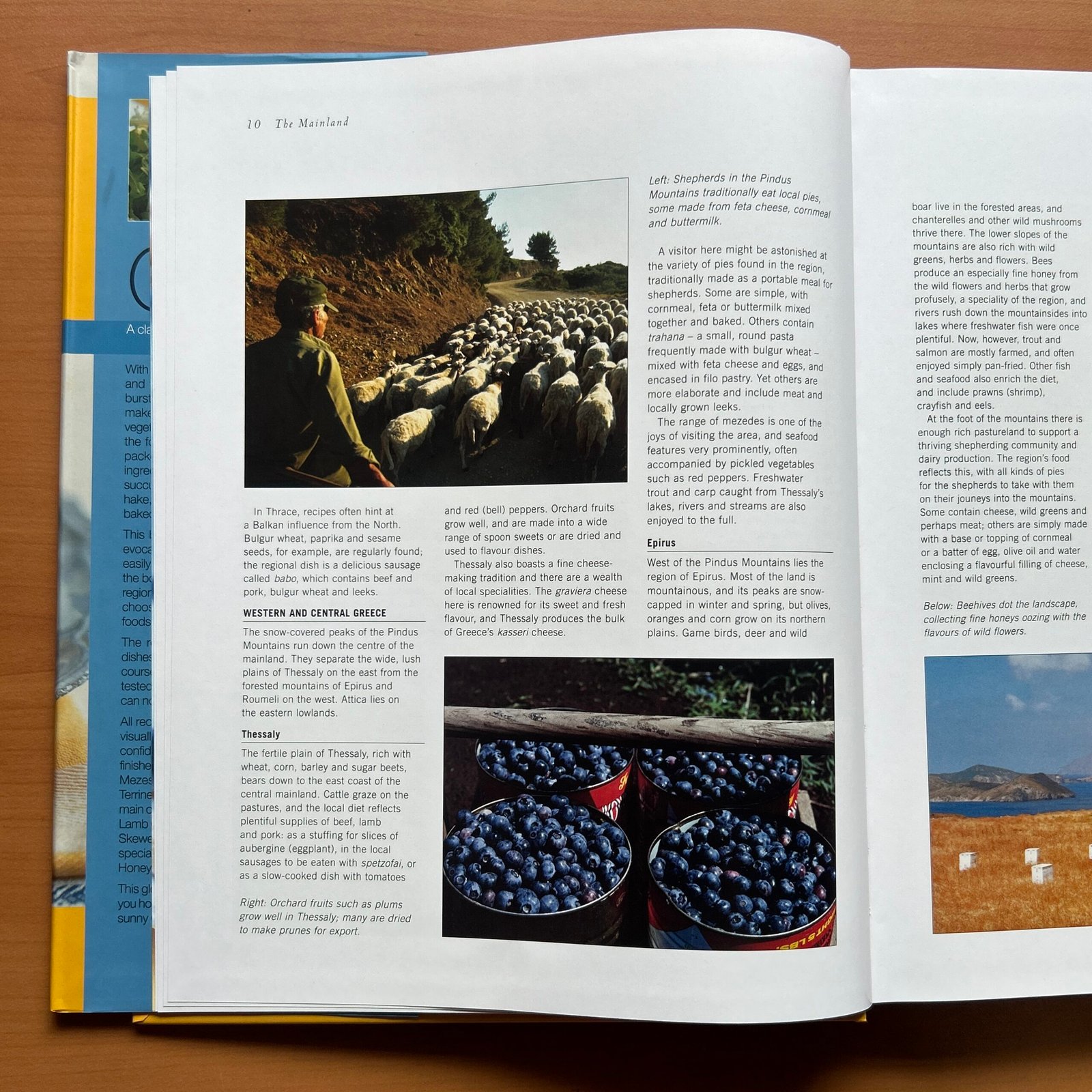 The Food and Cooking of Greece - Rena Salaman · Jan Cutler - Image 10