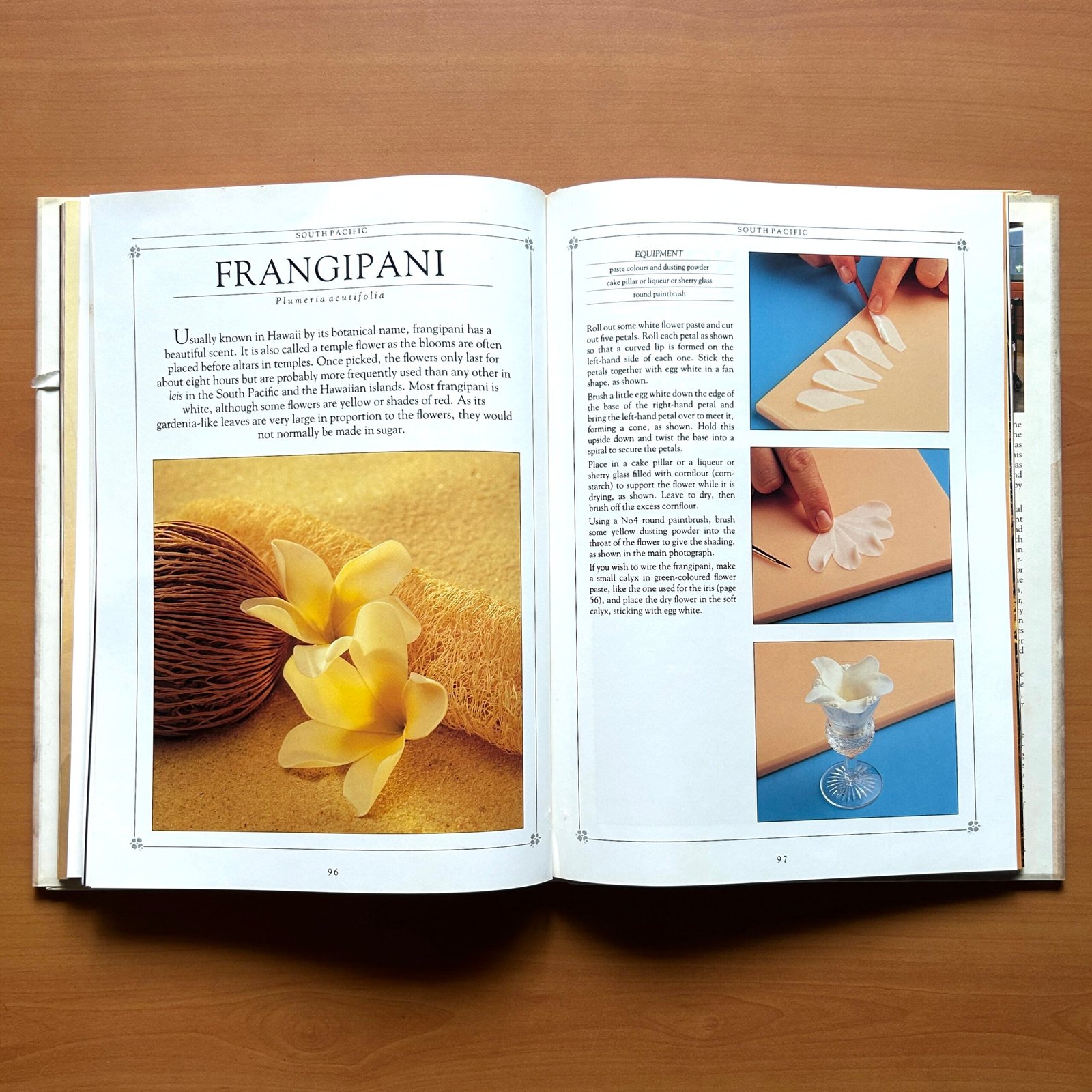 Sugar Flowers - Nicholas Lodge - Image 8