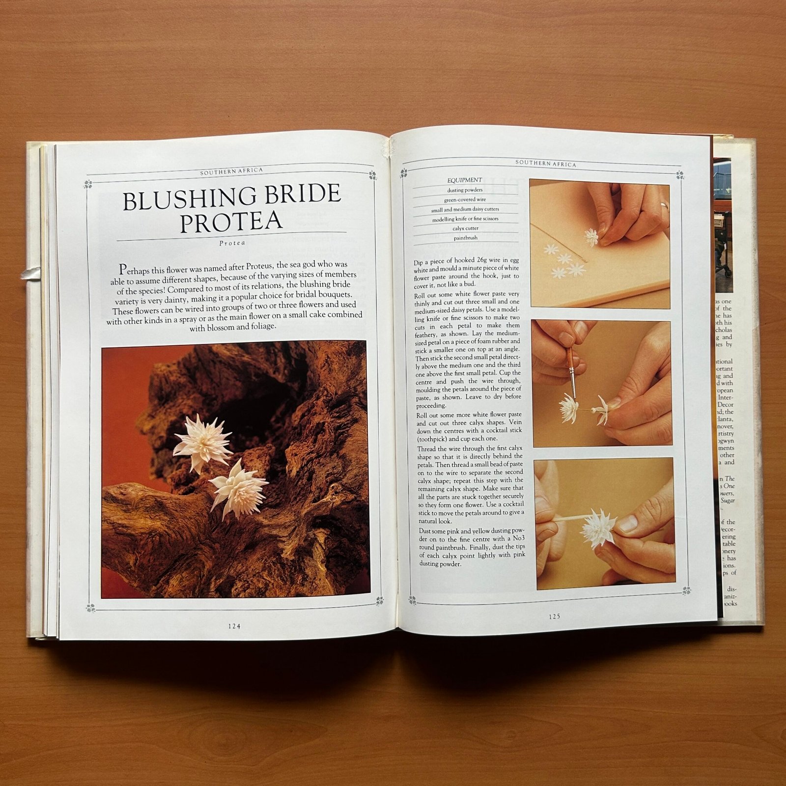 Sugar Flowers - Nicholas Lodge - Image 9