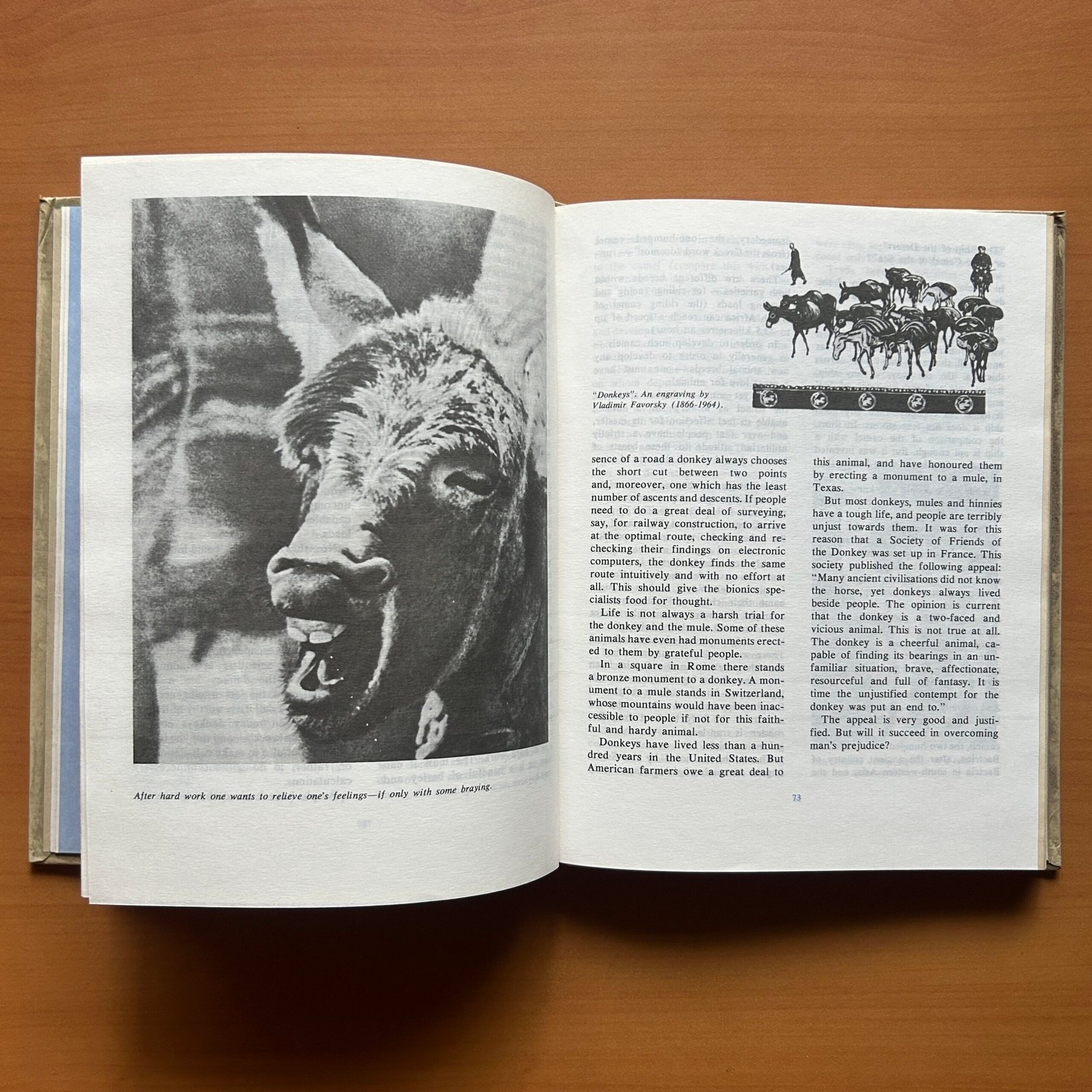 Animals on a Pedestal - Yuri Dmitriev - Image 7