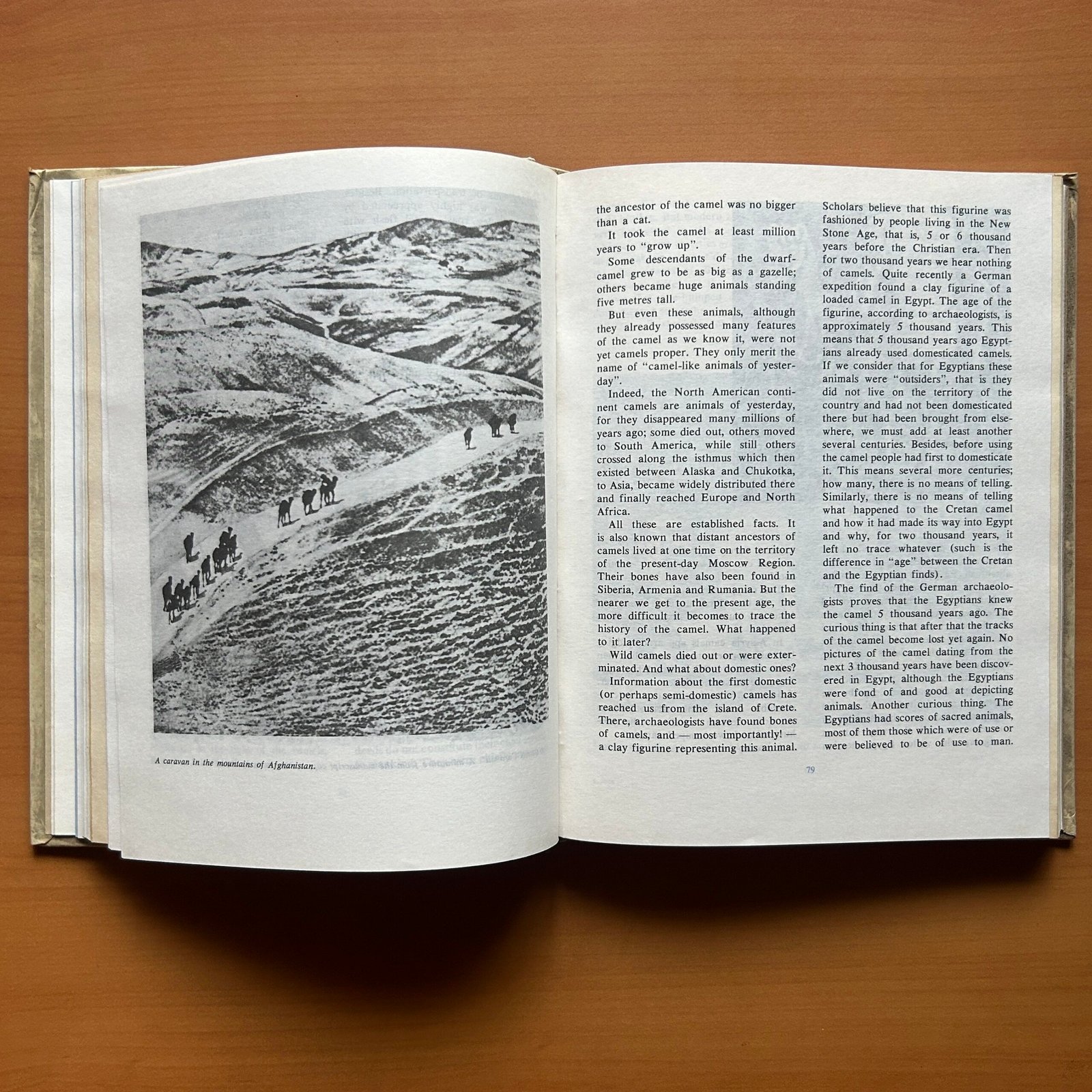 Animals on a Pedestal - Yuri Dmitriev - Image 8