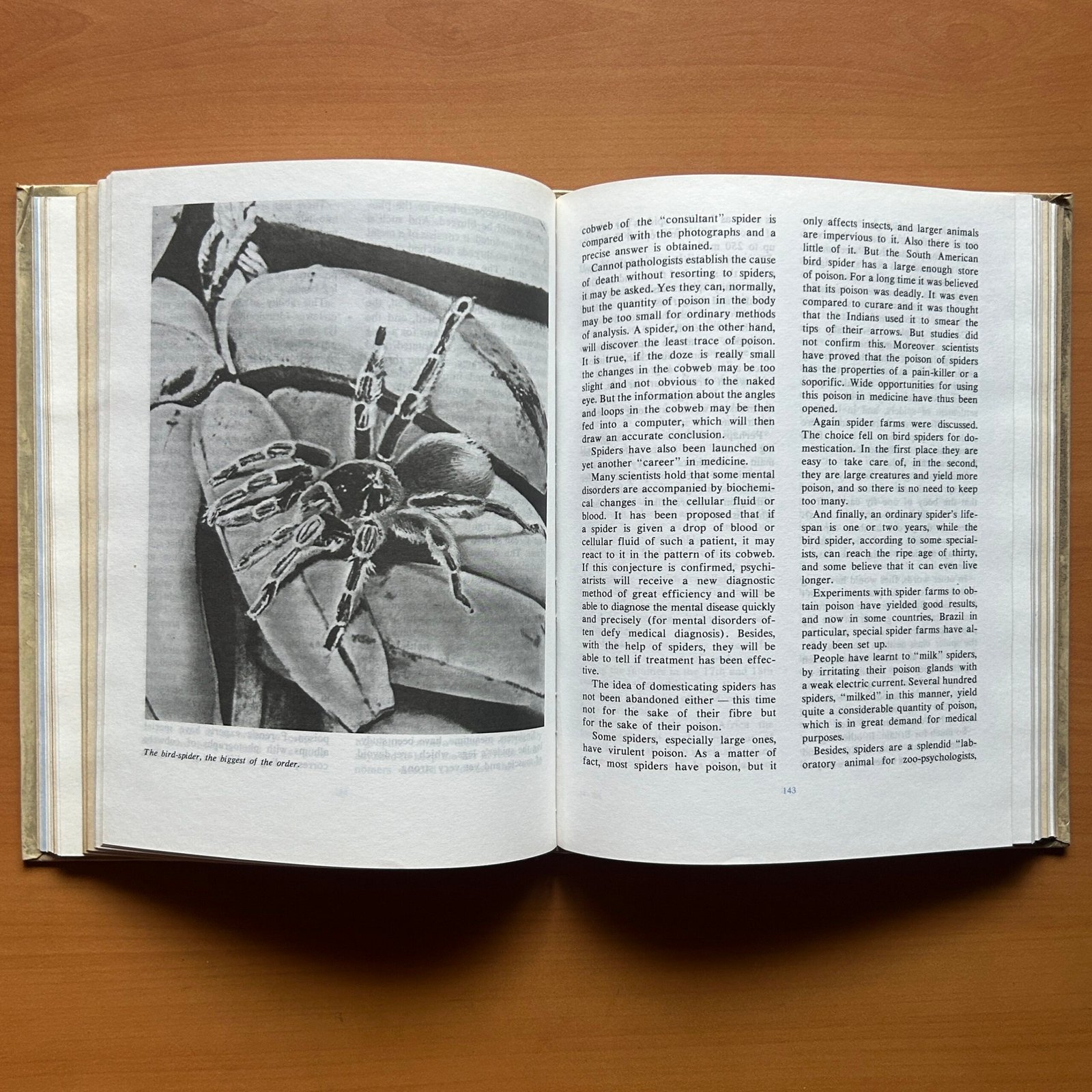 Animals on a Pedestal - Yuri Dmitriev - Image 9