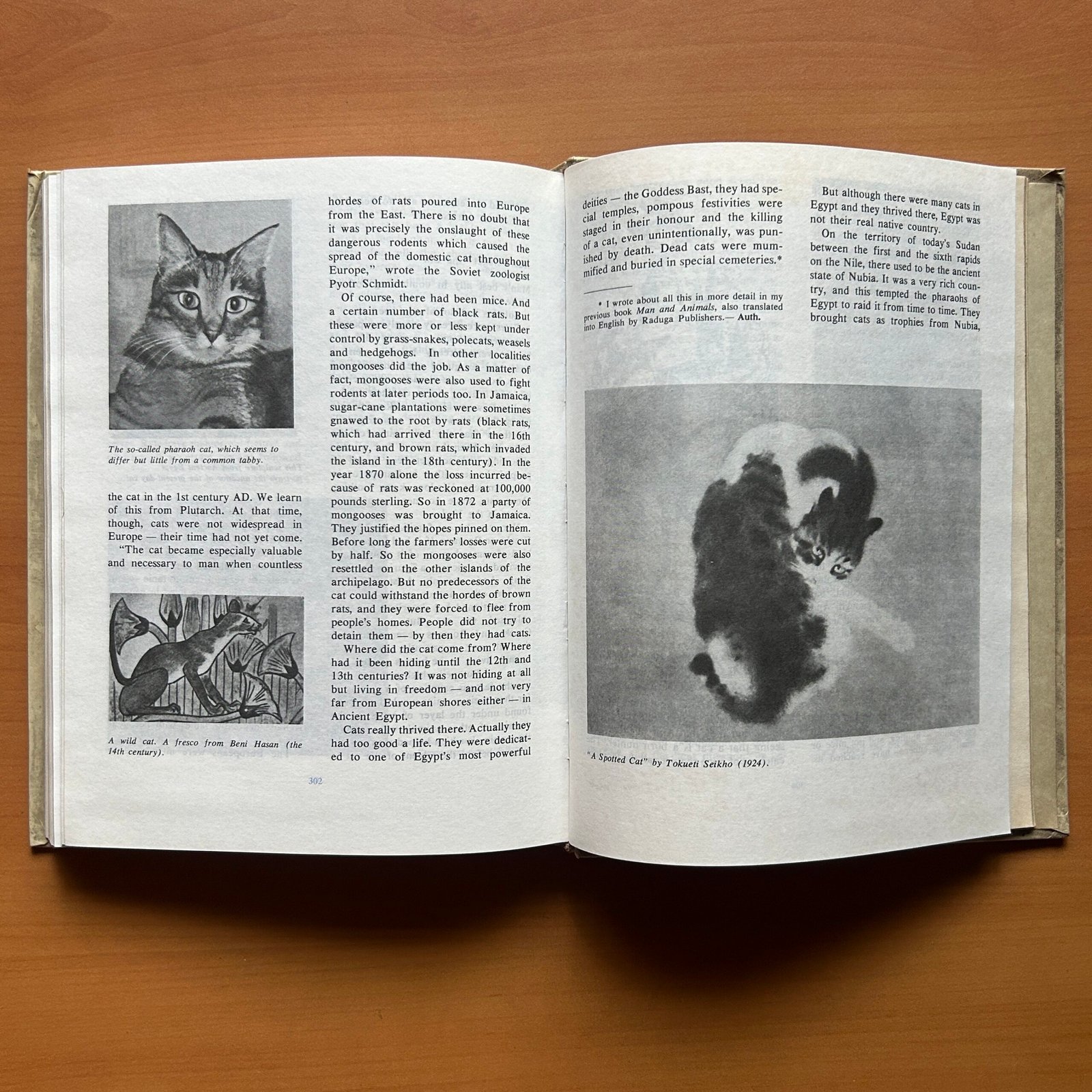 Animals on a Pedestal - Yuri Dmitriev - Image 12