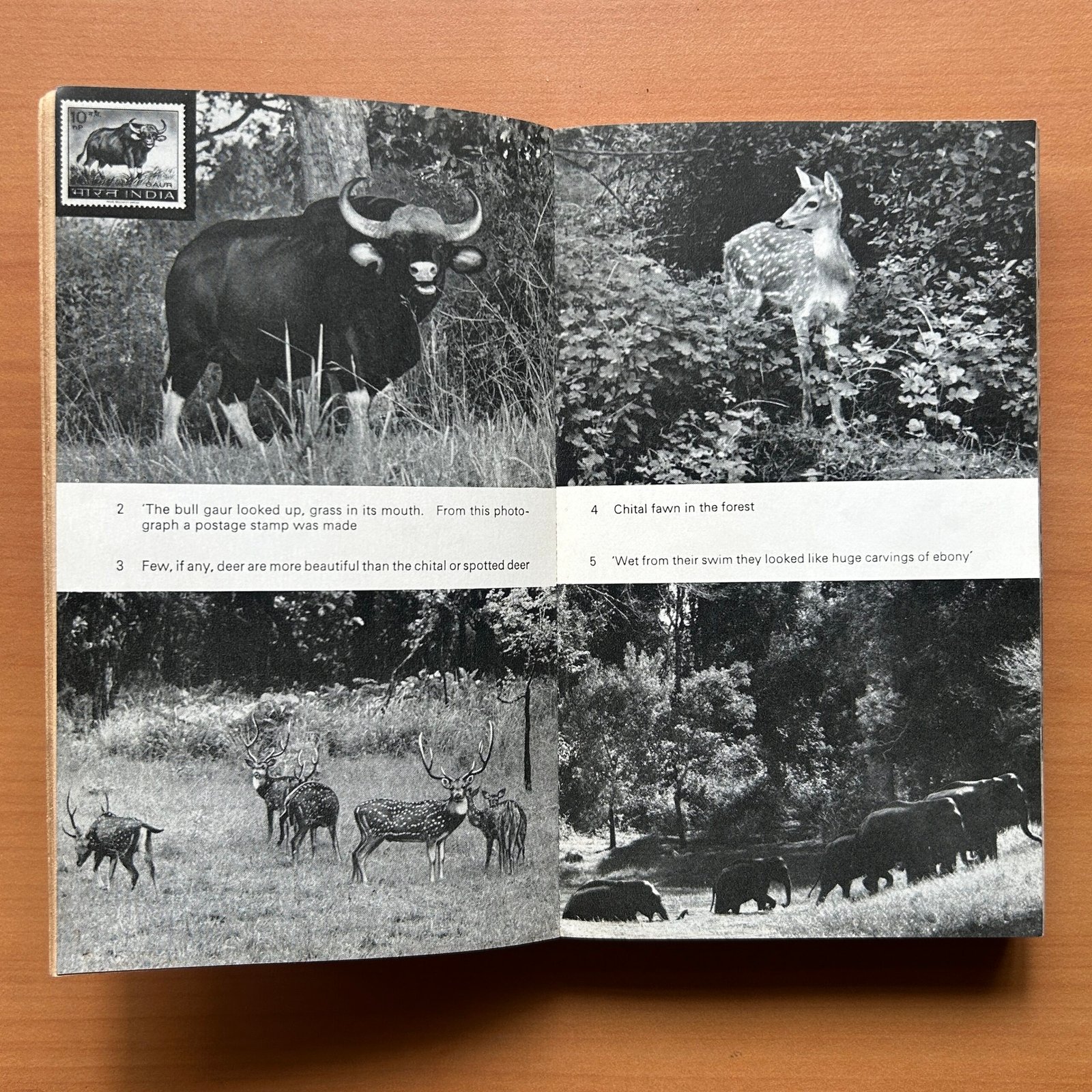 The Wild Life of India - E. P. Gee - Image 7
