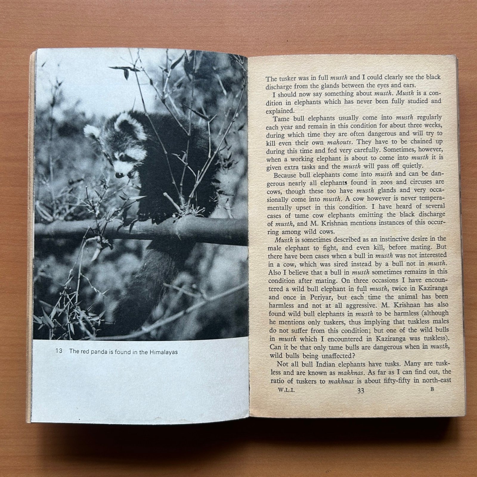 The Wild Life of India - E. P. Gee - Image 8