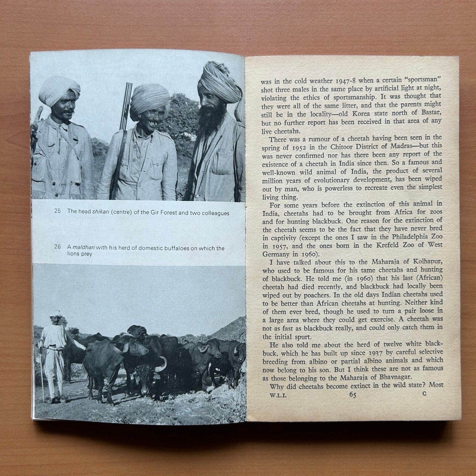 The Wild Life of India - E. P. Gee - Image 13