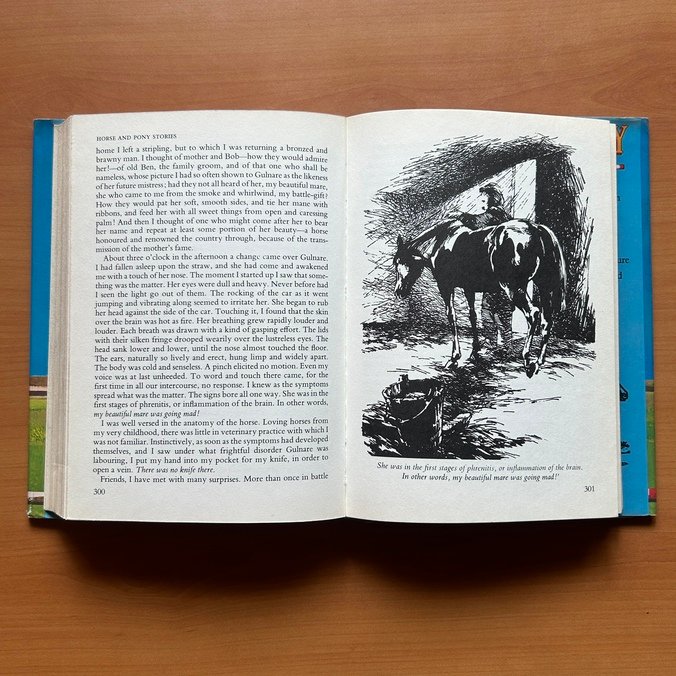 Horse & Pony Stories - Jane Carruth - Image 11