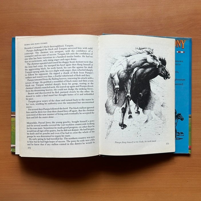 Horse & Pony Stories - Jane Carruth - Image 12