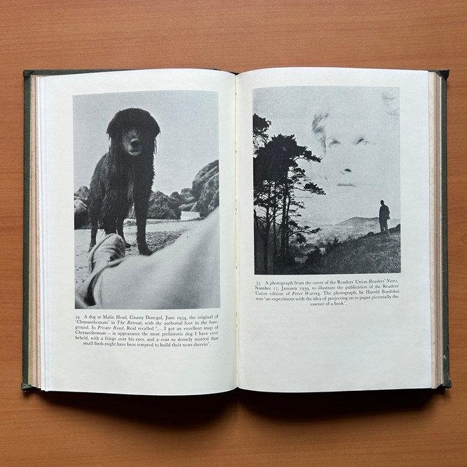 The Green Avenue: The Life and Writings of Forrest Reid, 1875–1947 - Brian Taylor - Image 13