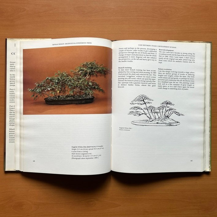 Bonsai Design: Deciduous and Coniferous Trees - Peter D. Adams - Image 6