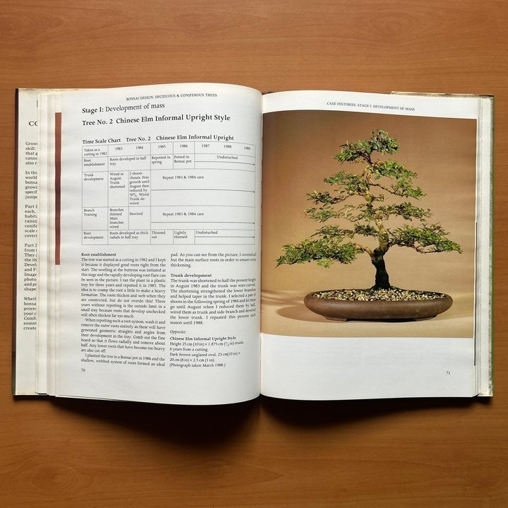 Bonsai Design: Deciduous and Coniferous Trees - Peter D. Adams - Image 7